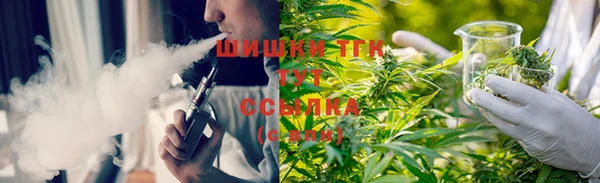 PSILOCYBIN Богородск