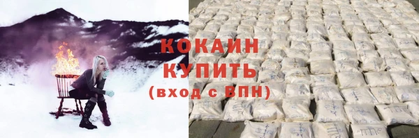 гашик Богданович