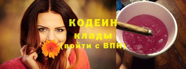 гашик Богданович