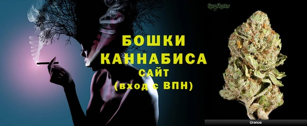 PSILOCYBIN Богородск