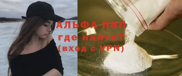 гашик Богданович