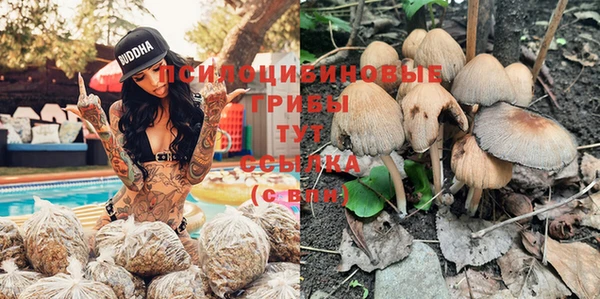 PSILOCYBIN Богородск