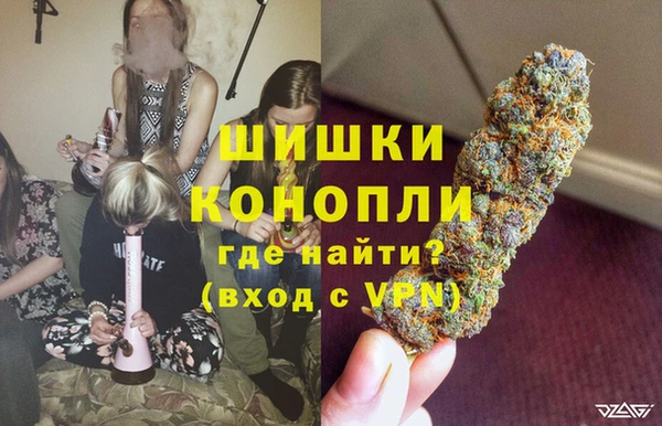 PSILOCYBIN Богородск