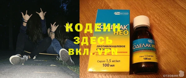 гашик Богданович