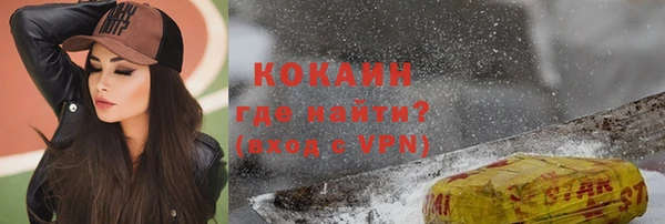 гашик Богданович